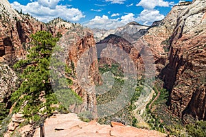 View of Zion National Park from top of Angelâ€™s Landing, Utah, USA