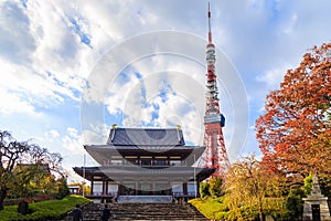 View of Zojo-ji Temple and tokyo Tower, Tokyo