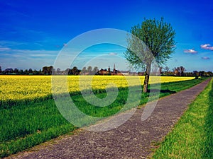 View of Zons, Germany