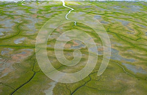 Rivers and inlets cut through the green barren tundra in Alaska. photo