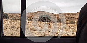 Viewing the Date Palm Trees of Nahal Ramon in Israel Through an SUV Window