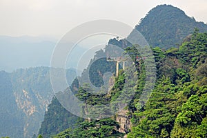 Viewing platform-Azalea Mountain-Jinggang Mountains