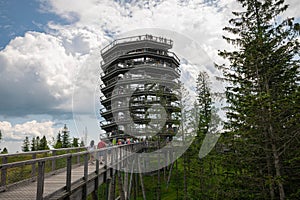 Viewing tower at aTreetop Walk in the Tatra Mountains