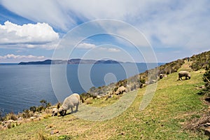 Viewof the Sun island fron the moon island in lake Titicaca