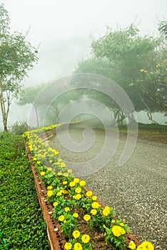 Viewpoint area with mist in winter season at Phayao province
