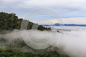 Viewpoint,beautiful tropical forest,mountain,mist at sunrise time in Khao kho,Phetchabun,Thailand