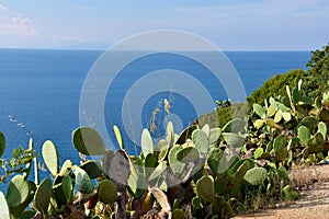 Viewpoint at Capo Vaticano , Calabria