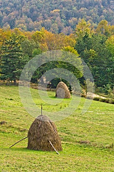 Viewpoint on a landscape of mount Bobija, hills, haystacks, meadows and colorful trees