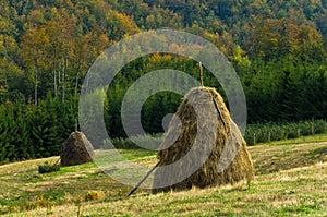 Viewpoint on a landscape of mount Bobija, hills, haystacks, meadows and colorful trees