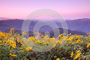 Viewpoint on mountain in the morning