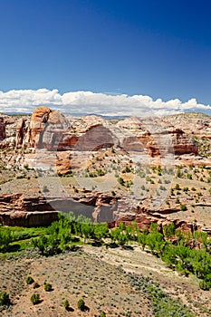 Viewpoint near Kiva Koffeehouse, Scenic Byway 12, Escalante, Utah, USA