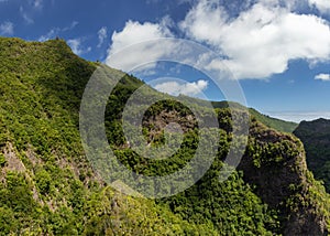 Viewpoint over the forest of Los Tilos