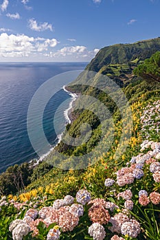 Viewpoint Ponta da Sossego in Sao Miguel, Azores photo