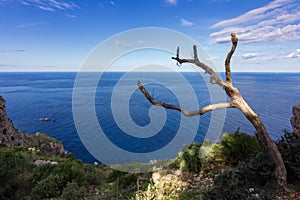 Viewpoint of Ricardo Roca in Mallorca Spain