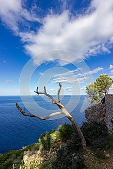 Viewpoint of Ricardo Roca in Mallorca Spain