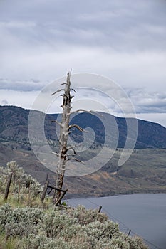 Viewpoint at Savona at Kamloops Lak British Columbia Canada