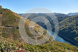Viewpoint of the Sil Canyons in Sober, Lugo, Galicia, Spain. photo