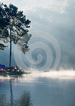 Viewpoint sunlight shine pine forest on foggy reservoir in morning at pang oung