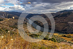 Viewpoint to Douro river inserted in the Douro Valley photo