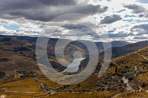 Viewpoint to Douro river, inserted in the Douro Valley , Portugal wine photo