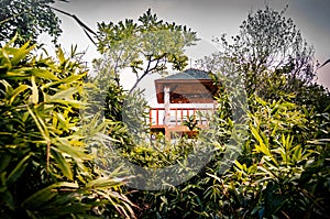 Viewpoint tower in the hills of Cat Ba Island with walking trail and bamboo forest