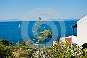 Viewpoint from white appartment houses surrounded by greenery at the coast of Skopelos island near Panormos bay