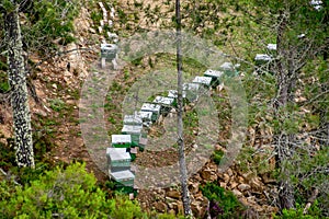 Viewpoints Sil river