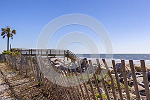 Views along the Alantic Coastline in Charleston County, South Carolina, USA photo