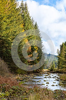 Views along the Raiders Road in the Galloway Forest Park during