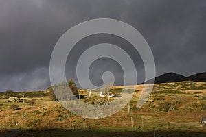 Views around Capel Curig