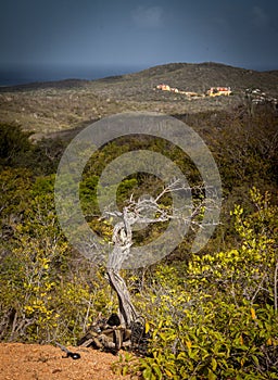 Views around Curacao Caribbean island