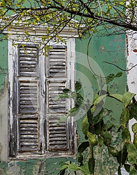 Views around Scharloo - old window and peeling paint photo