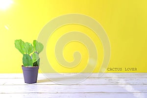 Views of CACTUS on yellow pastel background with text