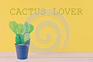 Views of CACTUS on yellow pastel background with text