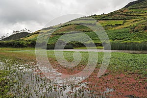 Views of the Ccochacajas lagoon in winter. Apurimac. Peru photo