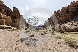 Views within the Charyn Canyon to the reddish sandstone cliffs. The canyon is also called valley of castles