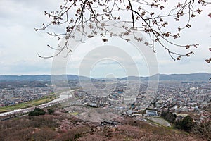 Views of cherry blossoms at Shiroishi RiversideHitome Senbonzakura or thousand cherry trees at sight and Zao Mountain Range seen