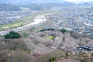 Views of cherry blossoms at Shiroishi RiversideHitome Senbonzakura or thousand cherry trees at sight and Zao Mountain Range seen