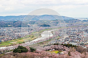 Views of cherry blossoms at Shiroishi RiversideHitome Senbonzakura or thousand cherry trees at sight and Zao Mountain Range seen