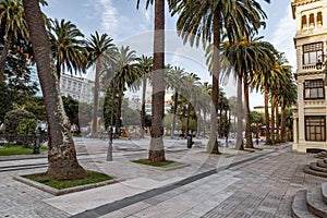 A Row of Palm Trees in Parque Infantil, A CoruÃÂ±a photo