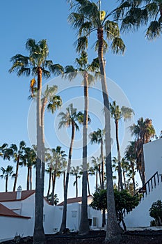 Views of Costa Calma touristic resort, Fuerteventura, Canary islands, Spain