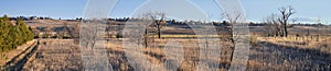 Views from the Cradleboard Trail walking path on the Carolyn Holmberg Preserve in Broomfield Colorado surrounded by Cattails, wild