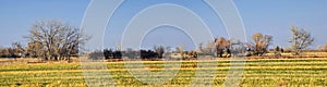 Views from the Cradleboard Trail walking path on the Carolyn Holmberg Preserve in Broomfield Colorado surrounded by Cattails, wild