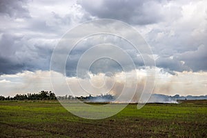 Views of dense smoke drifting from the burning of rice stubble in rice fields