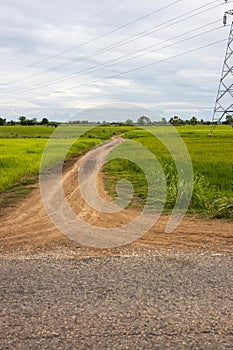 Views of dirt roads with traces of agricultural wheels that extend from