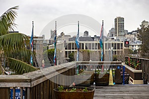 Views of downtown from pier 39 of the fisherman's harbor in the city of San Francisco, in the state of California.