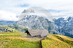 Views from First Mountain in Grindelwald, Switzerland