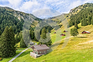 Views from First Mountain in Grindelwald, Switzerland