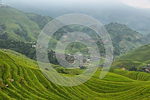 Views of green Longji terraced fields and Dazhai village