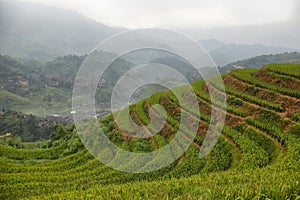 Views of green Longji terraced fields and Dazhai village